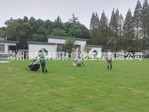 常州永安行養(yǎng)護