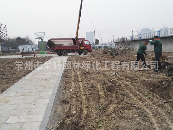 丹陽沃特施工