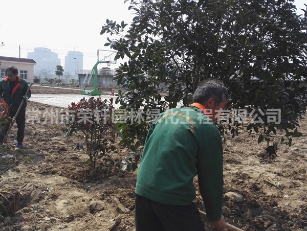 丹陽沃特施工