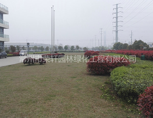 溧陽(yáng)中興西田養(yǎng)護(hù)