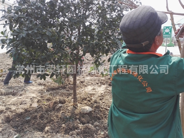 丹陽沃特施工