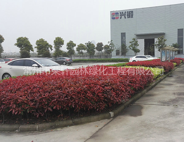 溧陽(yáng)中興西田養(yǎng)護(hù)
