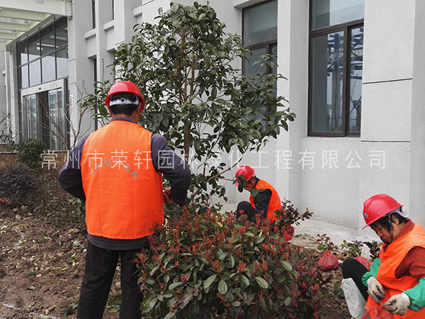 施工照片
