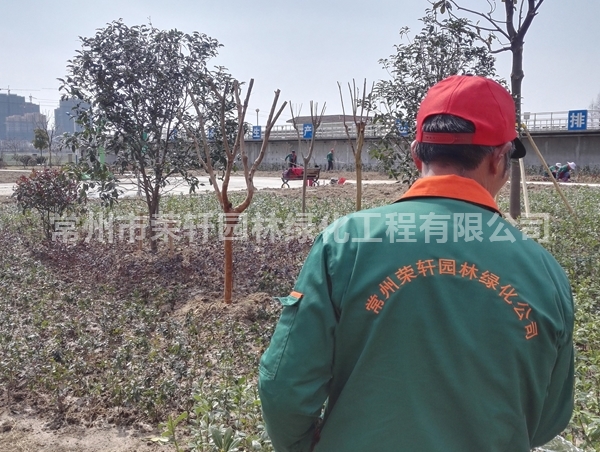 丹陽沃特施工