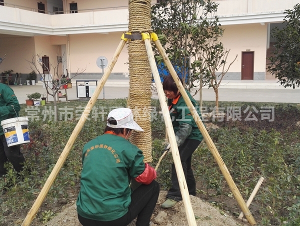 丹陽(yáng)沃特施工
