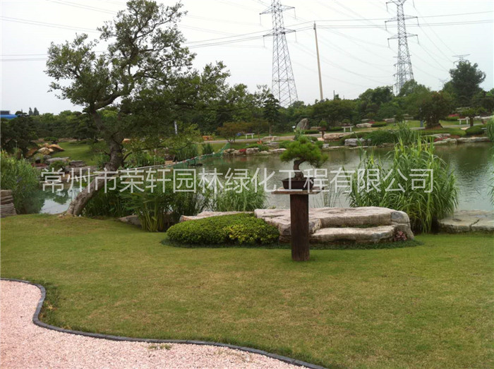 常州榮軒園林綠化養(yǎng)護(hù)的服務(wù)標(biāo)準(zhǔn)和方案