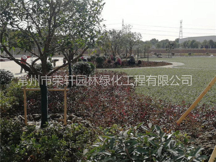 常州西瑪特電器養(yǎng)護(hù)