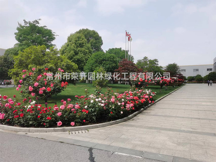 常州新譽(yù)集團(tuán)養(yǎng)護(hù)